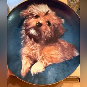 “Oh How Cute” VINTAGE COLLECTOR PLATE, ROBERT PEARCY